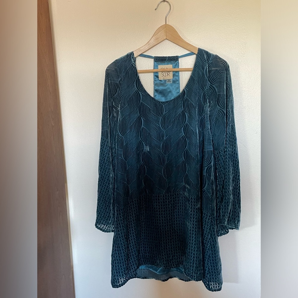 Velvet burnout dress long sleeve